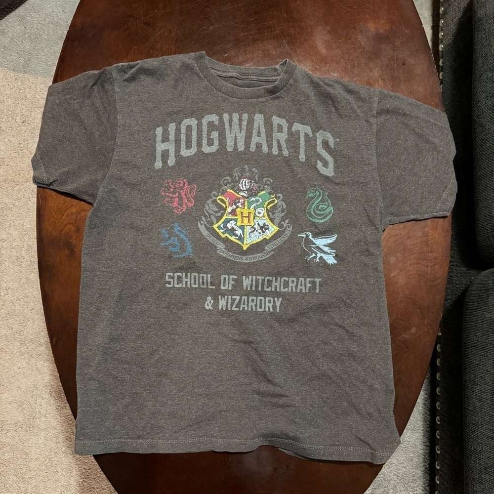 Harry Potter Hogwarts School of Witchcraft & Wizardry T-Shirt Men's L Gray